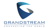 Our Partner - GrandStream